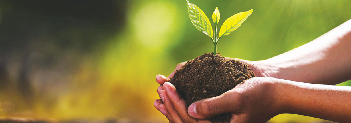 Banner Ambiental
